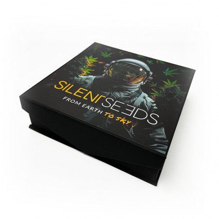 Cenicero de cristal - Cosmonauta - Silent Seeds