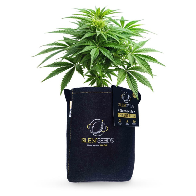 Maceta Silent Geotextile « Silent Seeds  » - 11 l