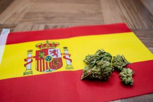 clubes sociales de cannabis en Barcelona