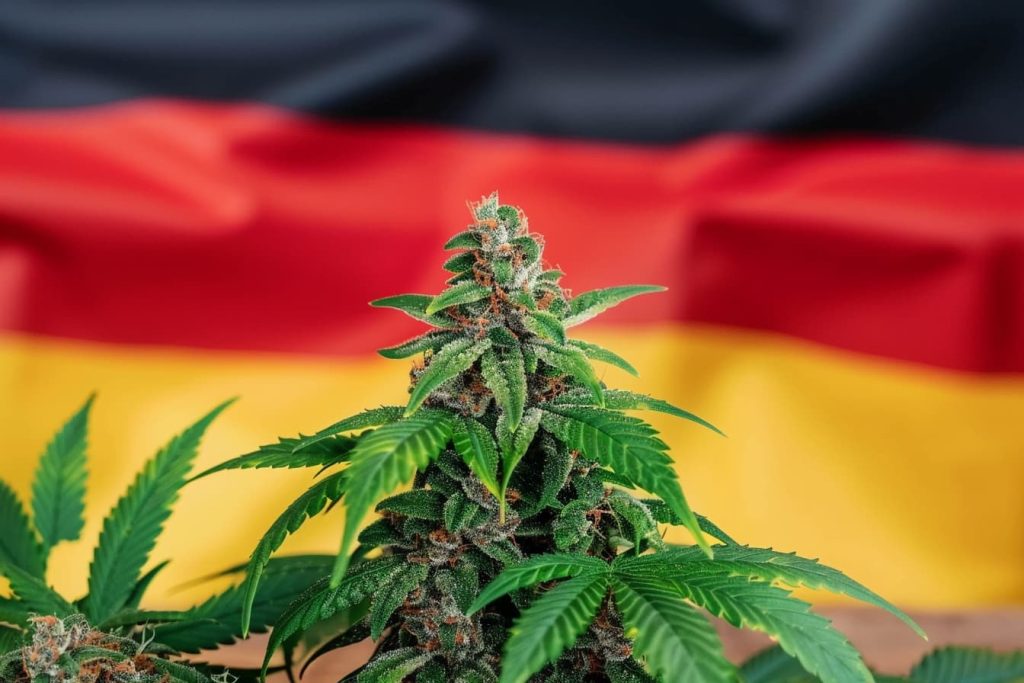 legalización del cannabis en Alemania